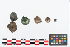 Foto von Bronzeknopf (NHMW-PRAE-026086)